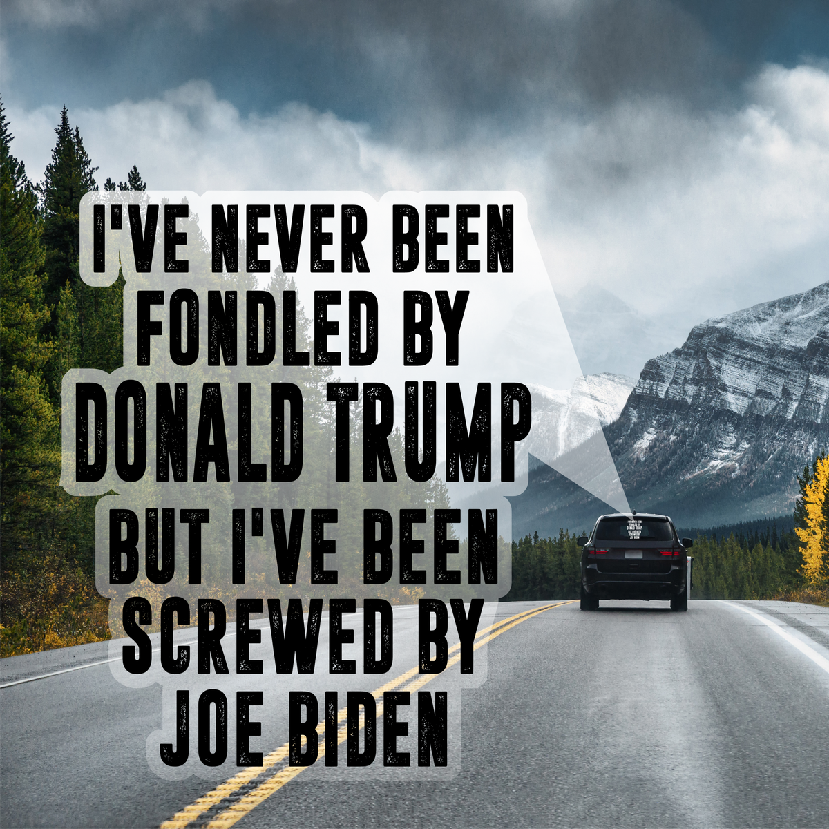 Never Been Fondled by Trump - Screwed by Biden - PermaSticker - Free Shipping - Application Video in Description