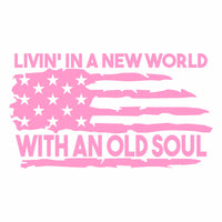 LiVin' in a New World with an Old Soul - Vinyl Decal - Free Shipping