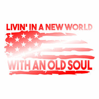 LiVin' in a New World with an Old Soul - Vinyl Decal - Free Shipping