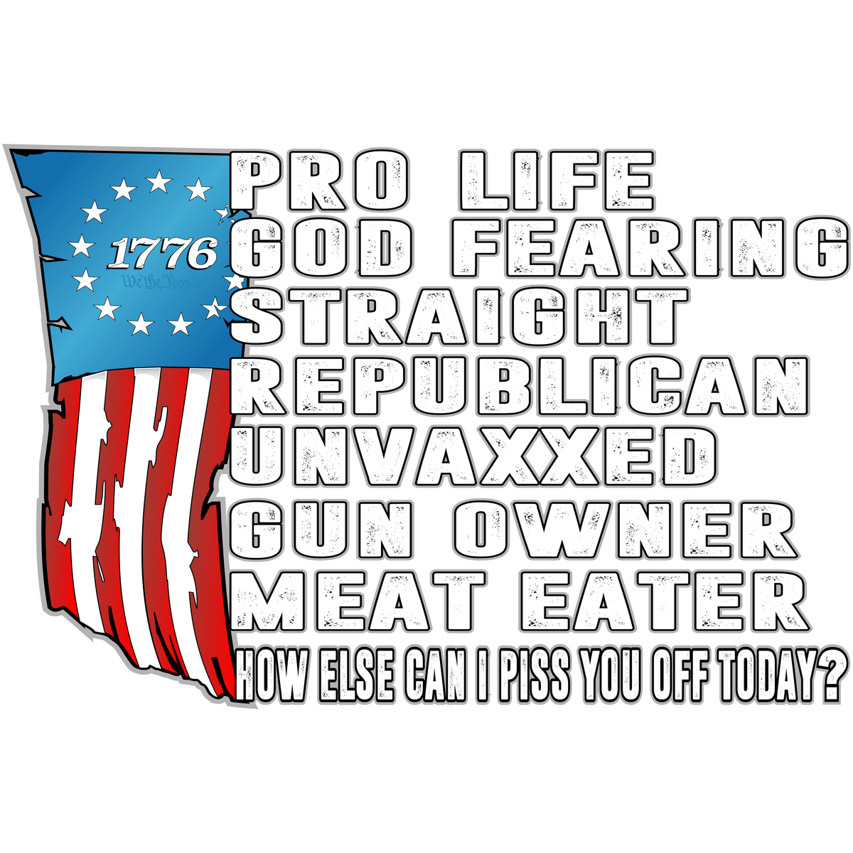 Pro_Life, God Fearing, Republican, How Else Can I Piss You Off Today  - PermaSticker - Free Shipping - Application Video in Description