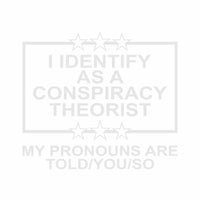 I Identify as a Conspiracy Theorist - Vinyl Decal - Free Shipping