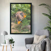 Your Pets Photo ( Personalized )- Canvas Print - Free Shipping
