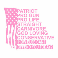 Patriot. Pro Life. Pro Gun. How Else Can I Offend You - Vinyl Decal - Free Shipping