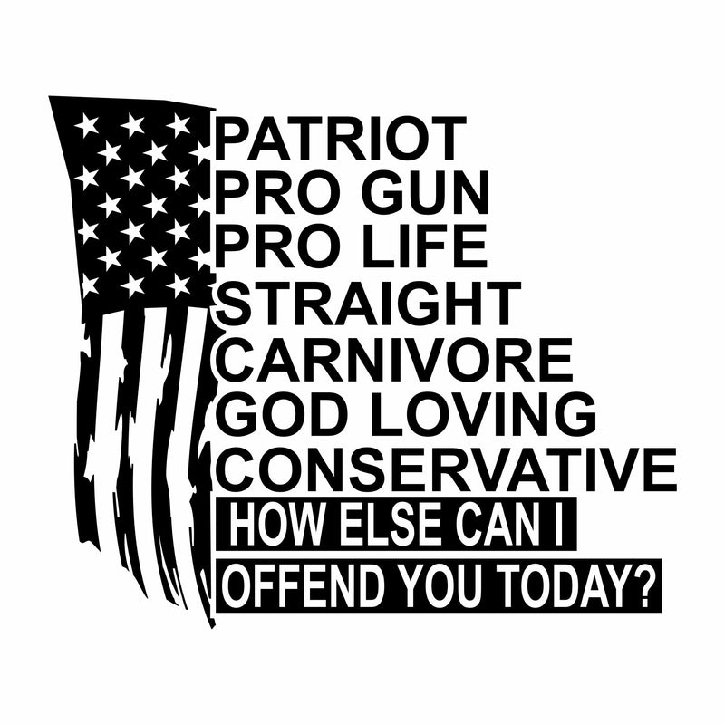Patriot. Pro Life. Pro Gun. How Else Can I Offend You - Vinyl Decal - Free Shipping
